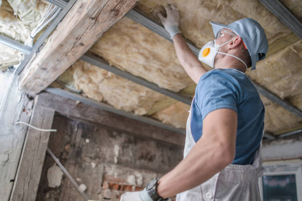 Best DIY Insulation Kits and Guidance in Coushatta, LA