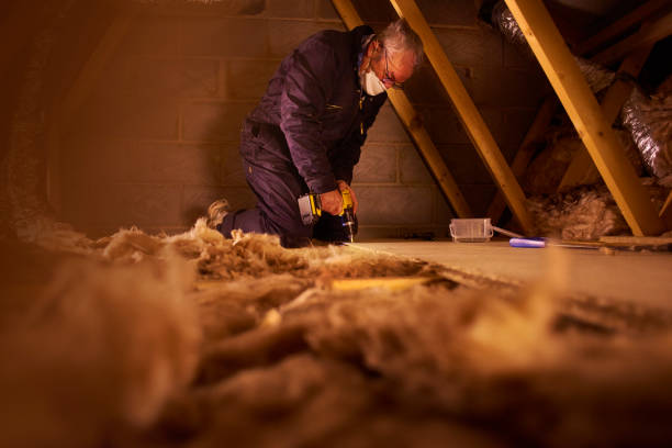 Best Commercial Insulation in Coushatta, LA
